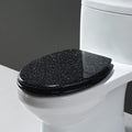 'Glitter Resin Toilet Seat, Soft Close Lid, Round/Oval, Easy Installation & Cleaning, Gold'(Black)