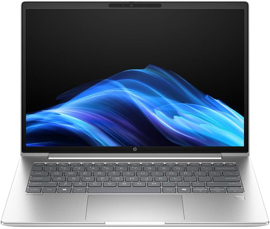HP ProBook 4 G1a 14' Notebook - WUXGA - AMD Ryzen 5 230-16 GB - 256 GB PCIe NVMe SSD - English Keyboard - Pike Silver - AMD Chip - 1920 x 1200 - Windows 11 Pro - Radeon 760M Graphics - in-Plane Swit