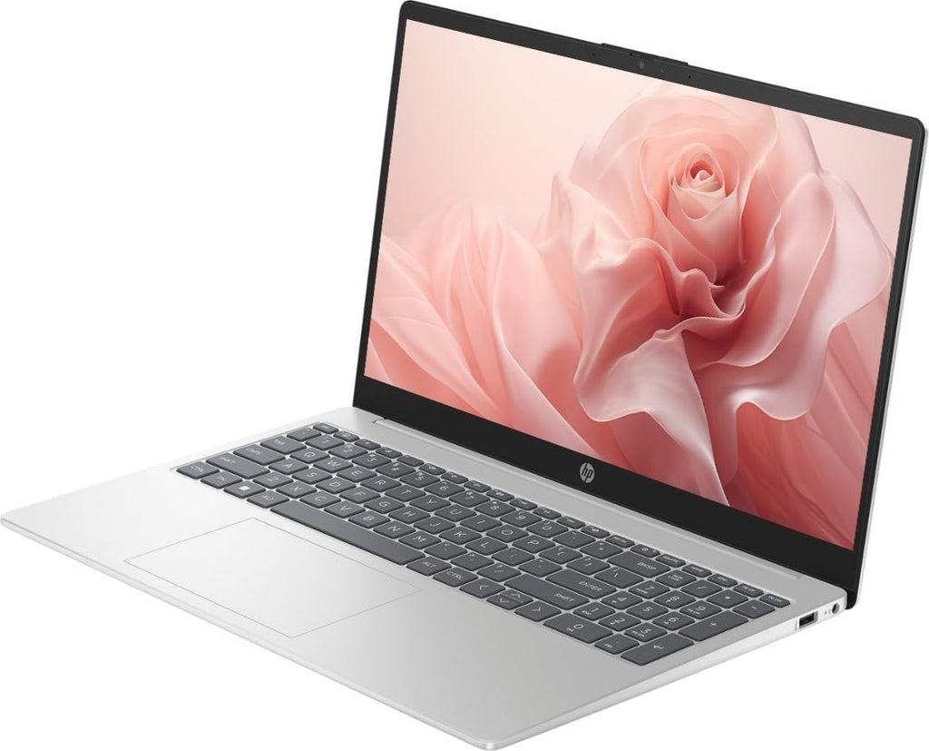 HP 15 Laptop, 15.6' Touchscreen Laptop Computer for Home Student Business, Windows 11 Laptop 8GB RAM 1TB Storage (512GB SSD+512GB Docking Station Set), AMD Ryzen 5 Processor, NLY Earphones, Silver