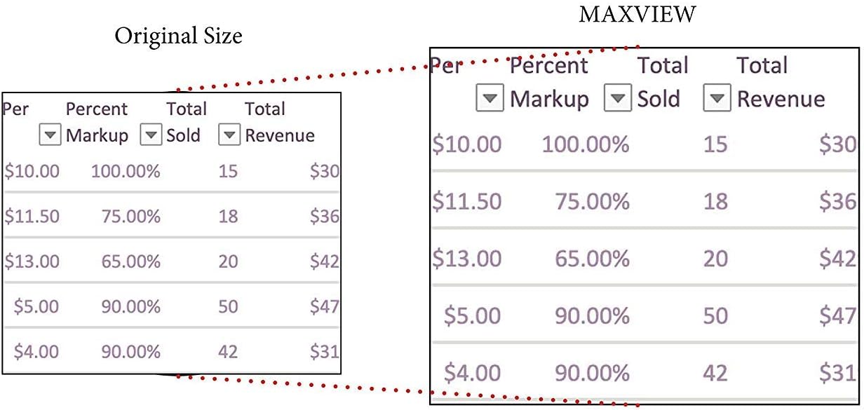 Kantek MAXVIEW LCD Computer Monitor Screen Magnifier for 21.5-Inch and 22-Inch Widescreen Monitors (Measured Diagonally) (MAG22WL)