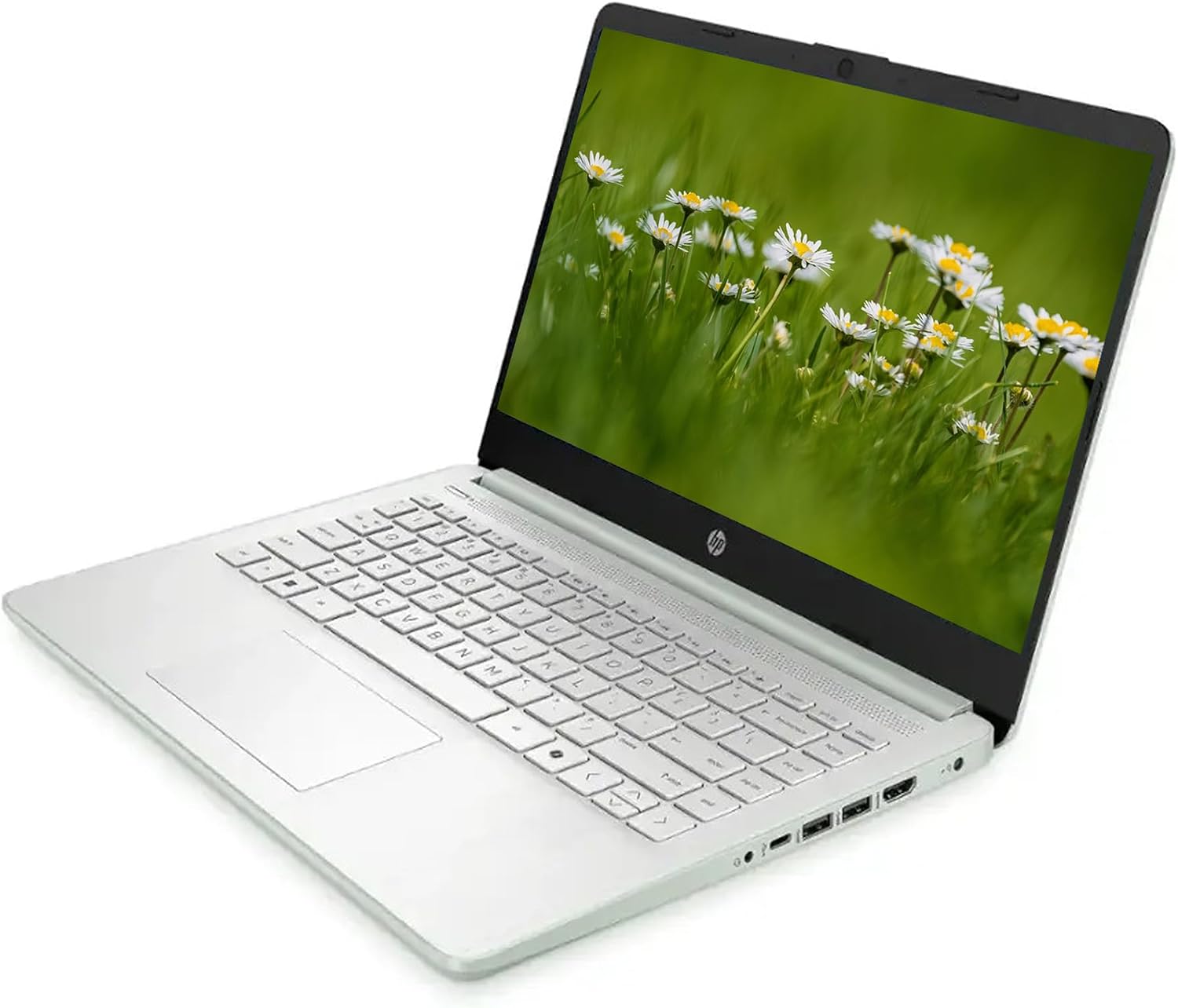 HP AI-Powered 14 Inch HD Laptop with Microsoft Office 1TB Cloud Storage 8GB RAM Intel 4-Core CPU Webcam Windows 11 Green