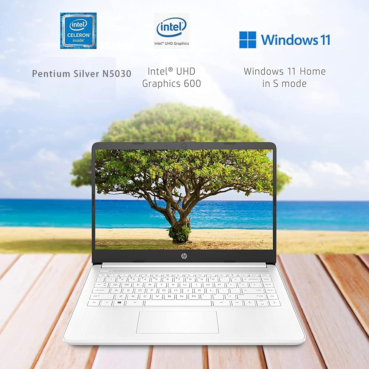HP 14 Inch Student Laptop | Intel Pentium Silver N5030, 4 Cores, 3.1GHz | 16GB RAM, 1TB SSD | Windows 11 | 1Y Microsoft 365 | 11.5 HRs Battery | True Vison 720p Cam | Intel UHD Graphics