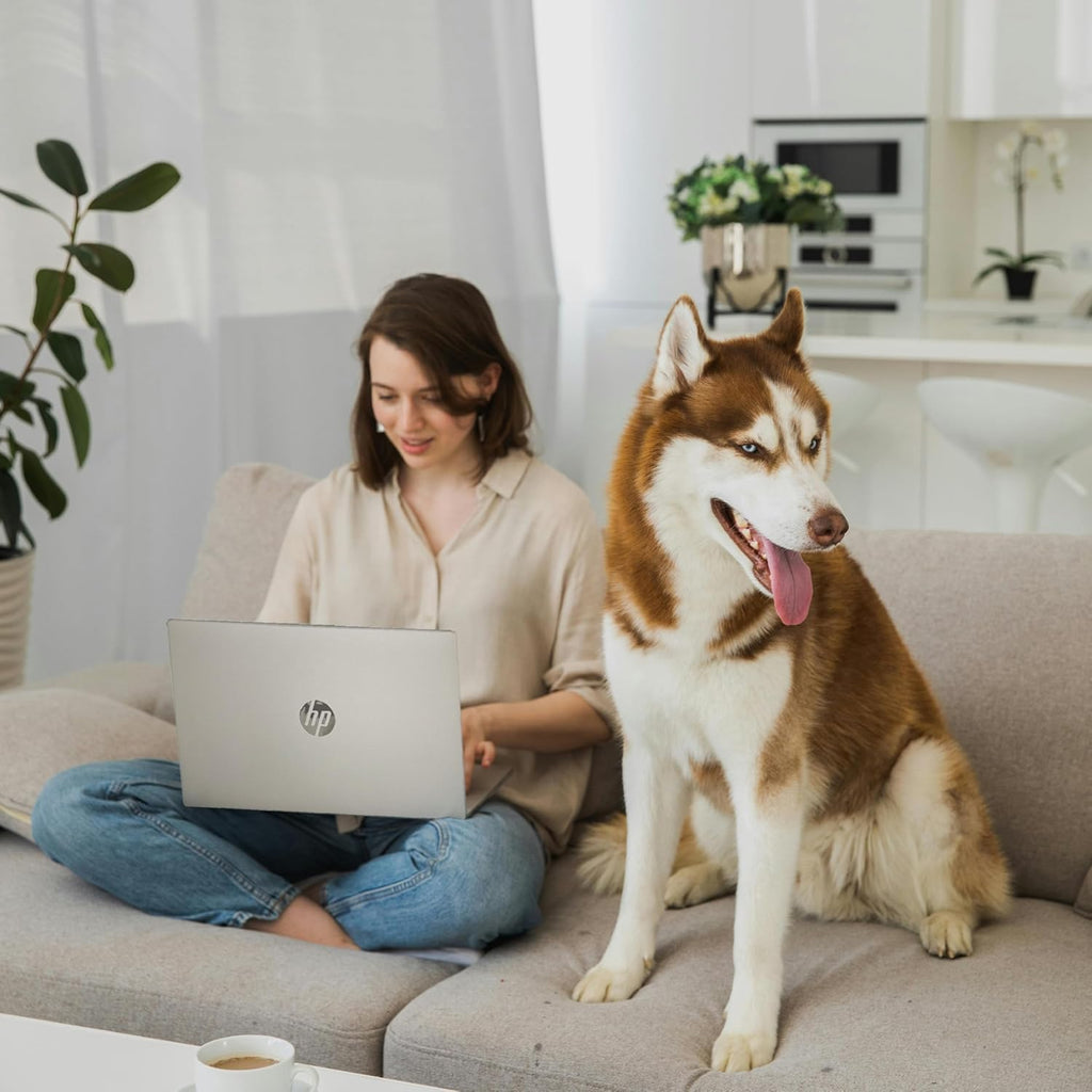 HP 15.6' Laptop | 2026 Edition | Intel High-Performance Core i7-1255U up to 4.7GHz | 64GB RAM - 2TB PCIe SSD | Webcam | FHD | Long Battery Life | Windows 11 | Business & Academic