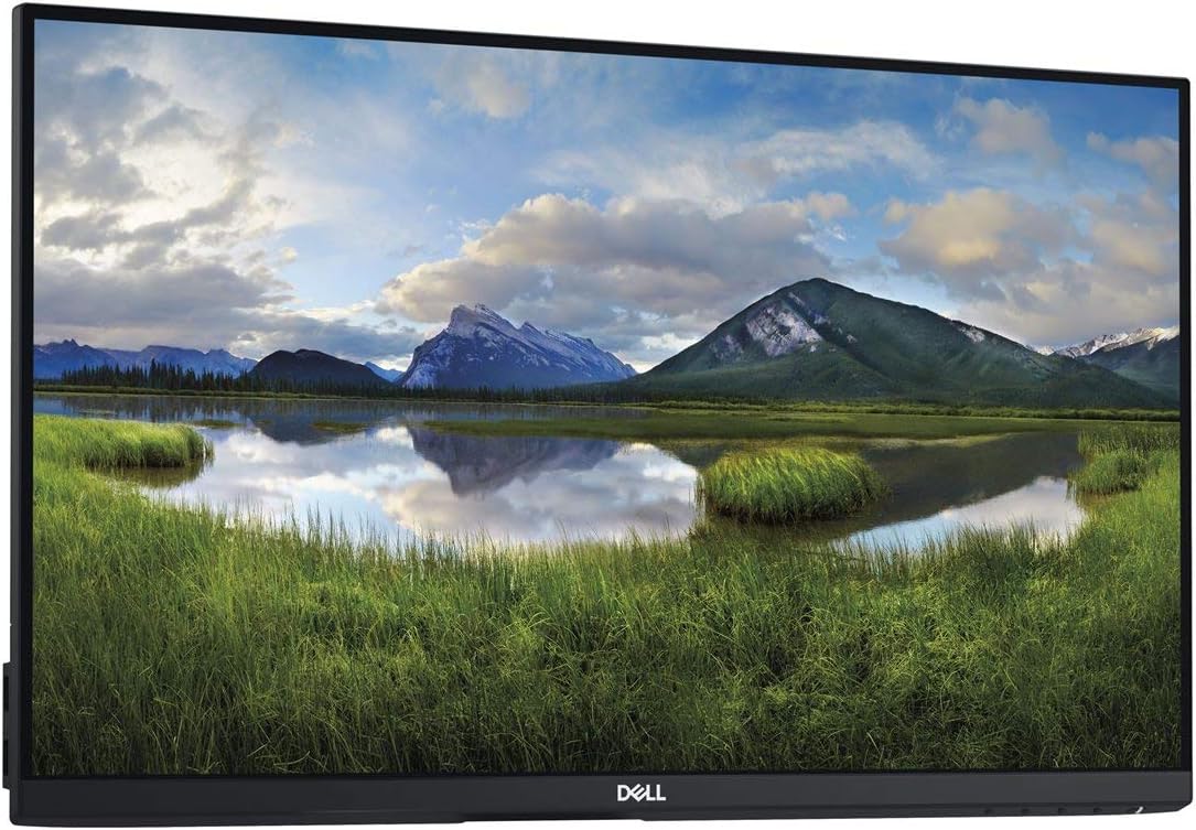 Dell P2419H 24-Inch Computer Monitor HD LED Display - Flat Matt Black