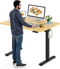 SANODESK Electric Standing Desk 48 x 30 Inches Whole-Piece Desktop Height Adjustable Stand Up Desk w/6-Button Controller Ergonomic Computer Desk for Home Office, Black Frame + Natural Tabletop