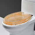 Transparent Toilet Seat Slow Close, Cushioned Acrylic Toilet Seat Set, Heavy Duty Resin Toilet Bowl Lid, Decorative Gold Silver Foil Toilet Cover(Gold)