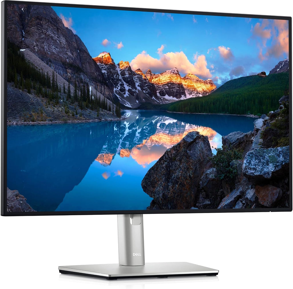 Dell UltraSharp U2421E 23.8' LCD Monitor - 24' Class