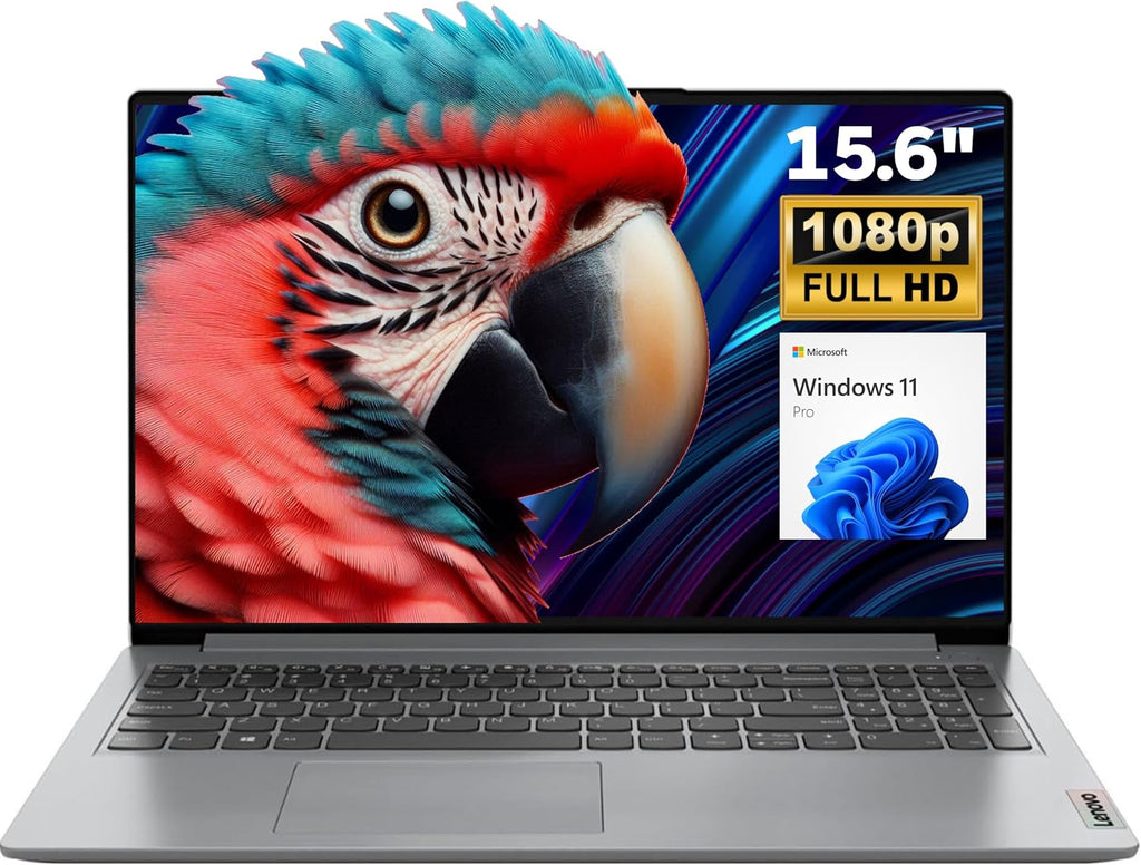 Lenovo IdeaPad 15.6' FHD Laptop for Business and Student, 36GB RAM, 1TB SSD, Intel Dual-core Processor, WiFi6, Bluetooth 5.2, Type-C, HDMI, Cloud Grey, Windows 11 Pro, Z&O Accessories