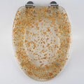 Resin Toilet Seat Elongated Soft Close Toilet Seat Easy Clean & 360° Adjustable Hinges, Quick Release Heavy Duty Toilet Seats with Glitter Cover,Silver(Gold Leaf)
